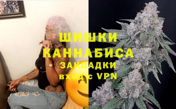 стафф Богородицк