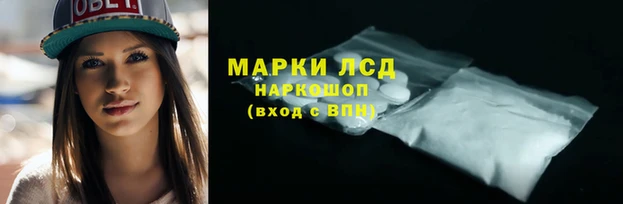 герыч Богданович