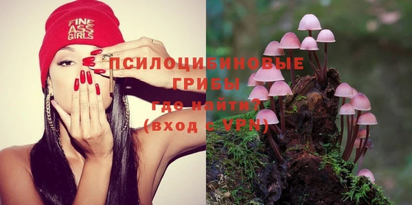 стафф Богородицк